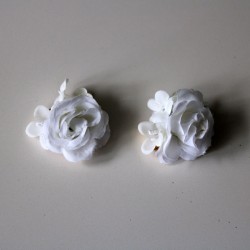 Two White Shoe Clips